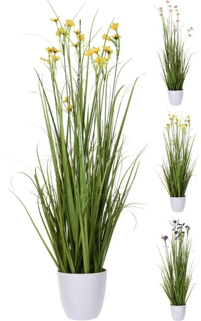 Sumarblóm í potti 3 litir