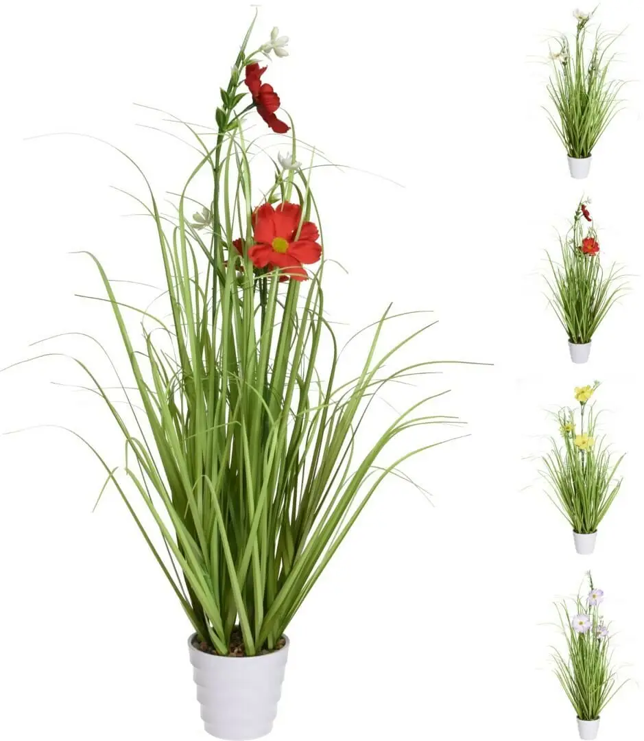 Pottablóm - sumarblóm