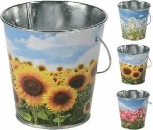 CITRONELLA Kerti í fötu