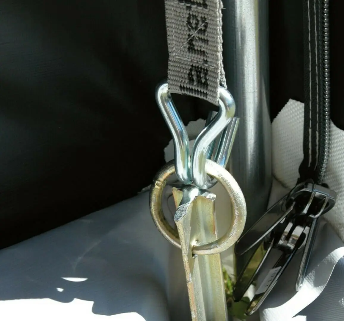 Fortjald Ambassador Dawn frá Isabella SÉRPÖNTUN - Image 38