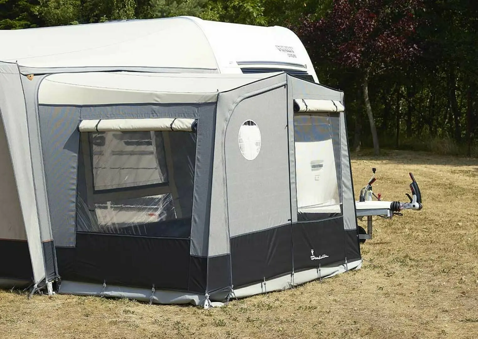 Fortjald Ambassador Dawn frá Isabella SÉRPÖNTUN - Image 8