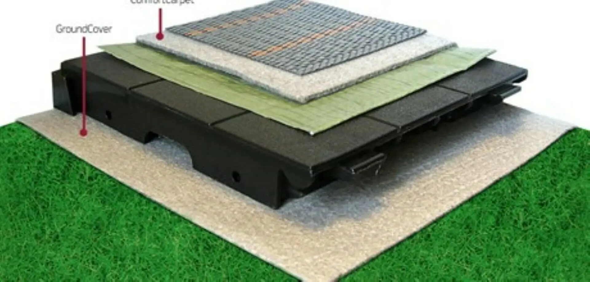 Fortjald Ambassador Dawn frá Isabella SÉRPÖNTUN - Image 23