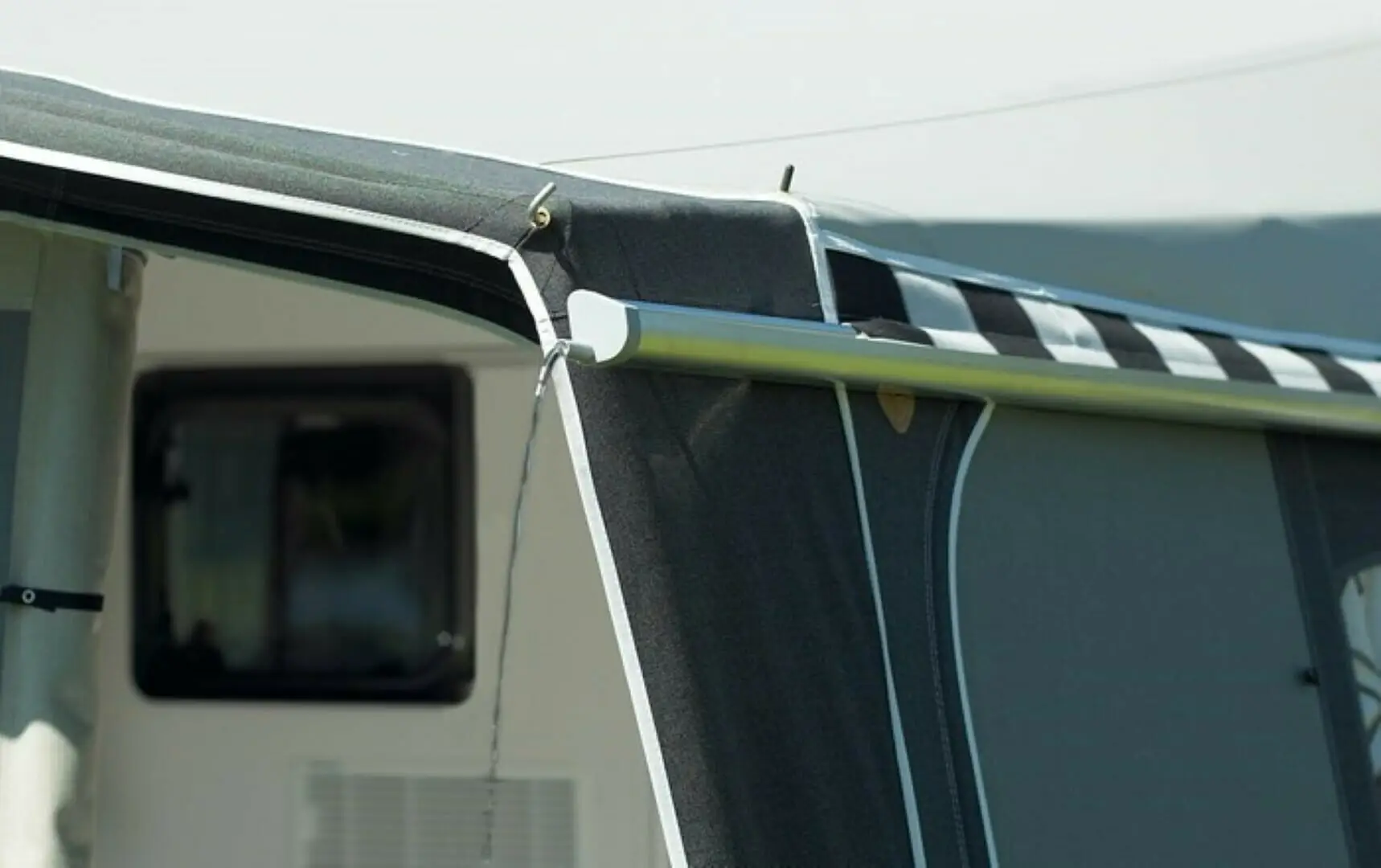 Fortjald Ambassador Dawn frá Isabella SÉRPÖNTUN - Image 24