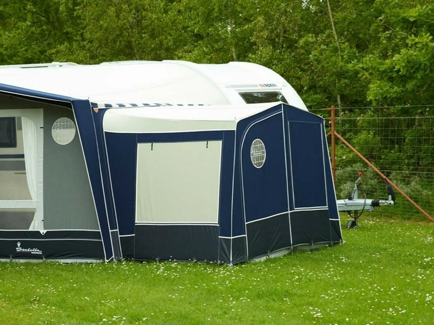 Fortjald Ambassador Dawn frá Isabella SÉRPÖNTUN - Image 10