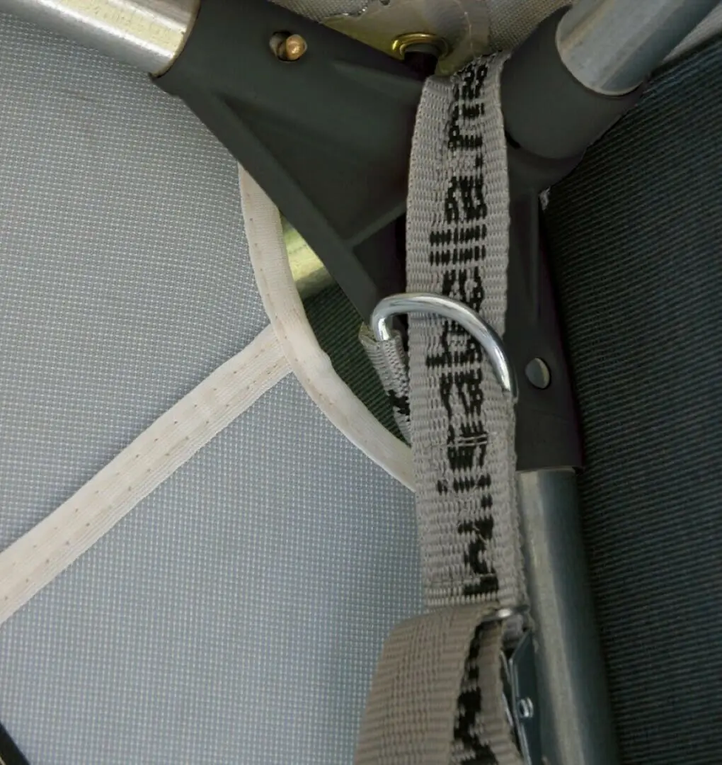 Fortjald Ambassador Dawn frá Isabella SÉRPÖNTUN - Image 37