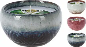 Citronella kerti 10cm