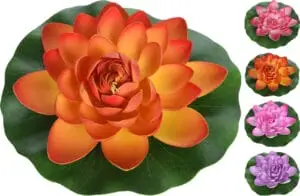 Blóm f/tjarnir-heita potta