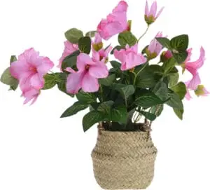 Blóm lítil og stór