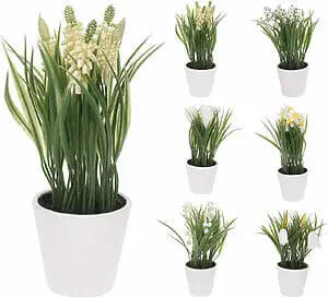 Pottablóm með bandi