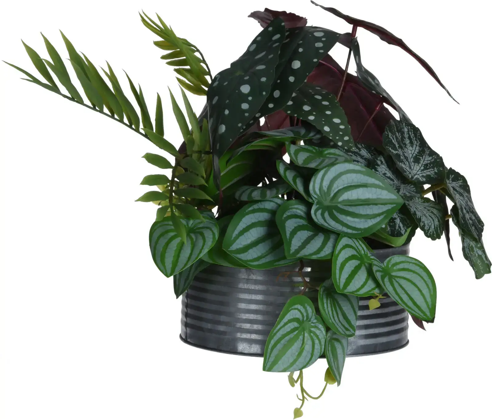 Planta í potti 28cm