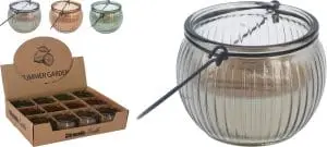 Citronella Kerti í gler glasi  7,6cm